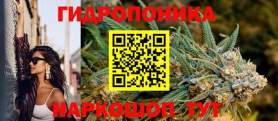 эйфоретик Кандалакша
