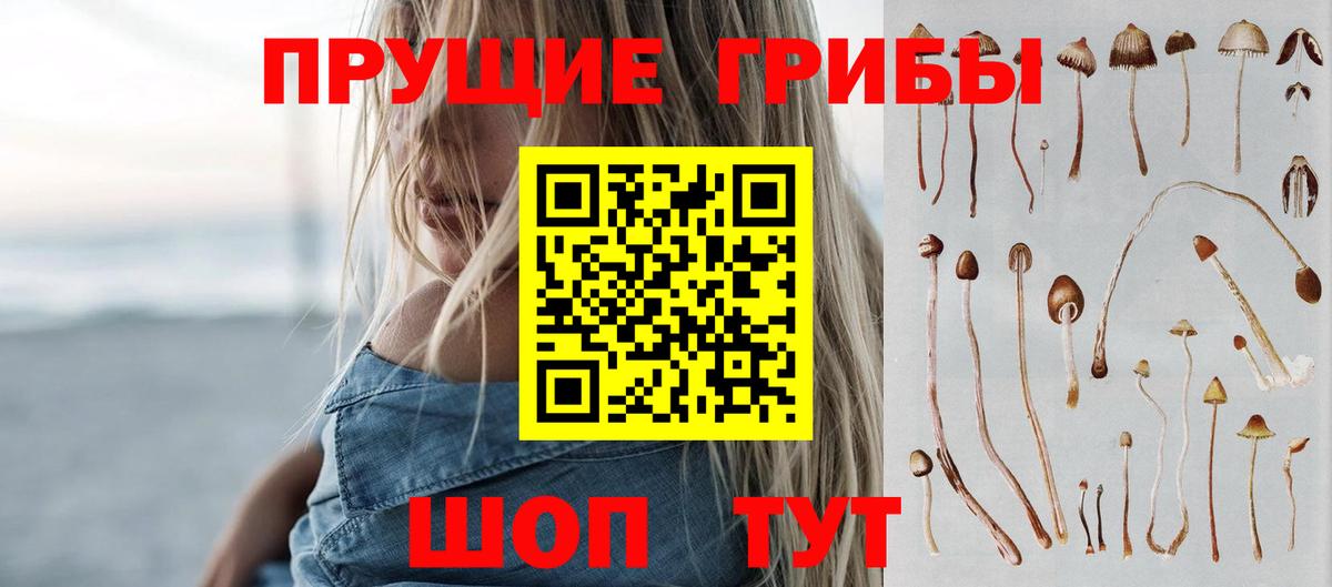 Кудымкар  Псилоцибиновые грибы мухоморы  Псилоцибиновые грибы Psilocybe  Вход с VPN 